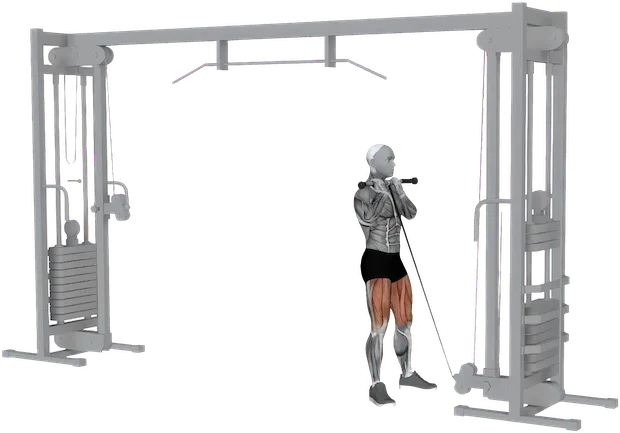 Goblet Squat exercise demonstration