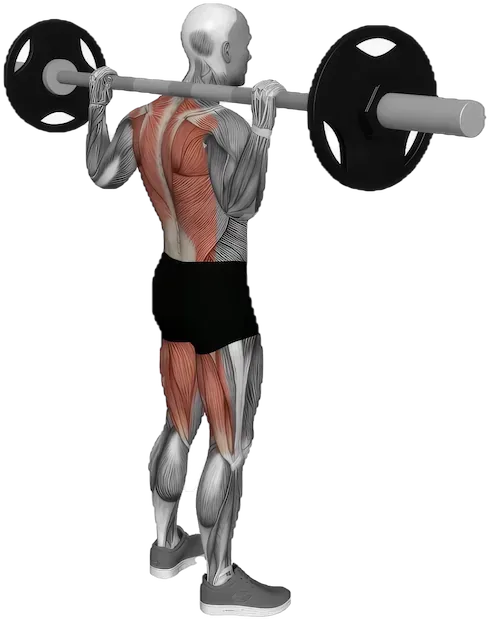 Good Morning exercise demonstration