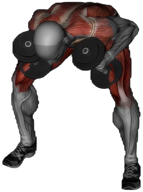 Good Morning exercise demonstration