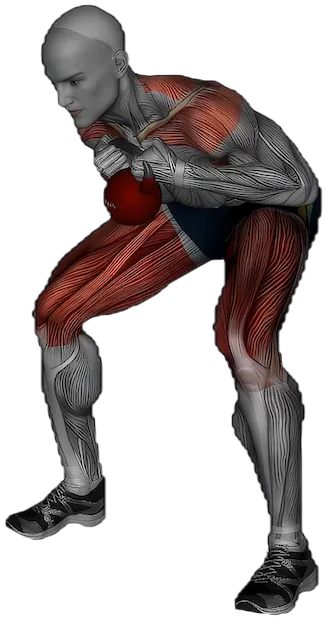 Good Morning exercise demonstration