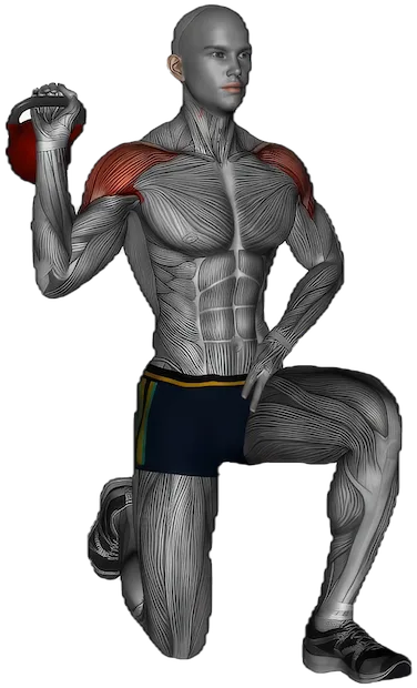 Half Kneeling Press exercise demonstration