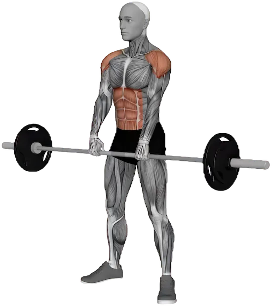 Hang Clean exercise demonstration