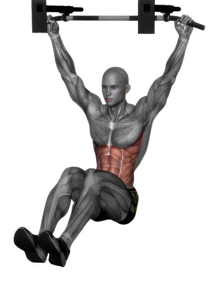 Hanging Knee Raise exercise demonstration