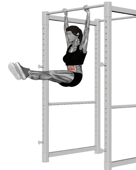 Hanging Leg Raise exercise demonstration