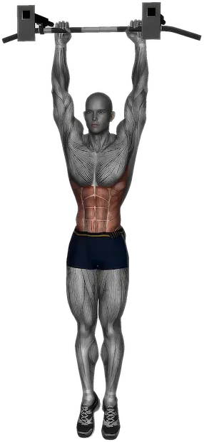 Hanging Oblique Knee Raise exercise demonstration