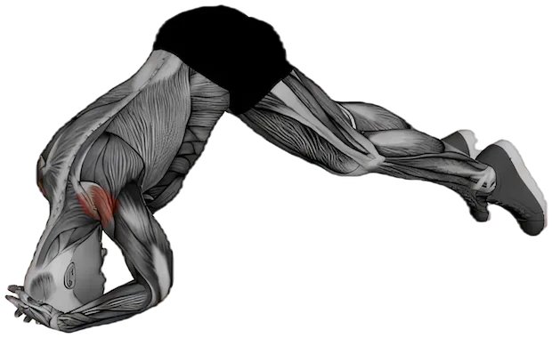 Headstand exercise demonstration