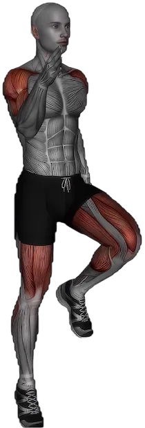 High Knees exercise demonstration