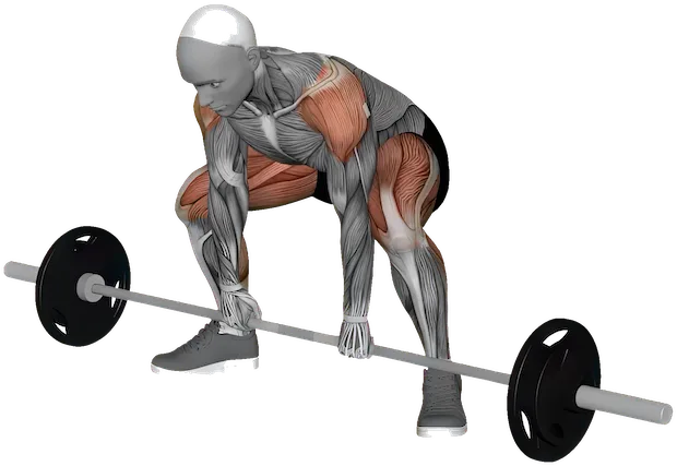 High Pull exercise demonstration