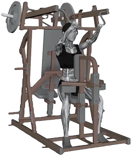 High Row exercise demonstration