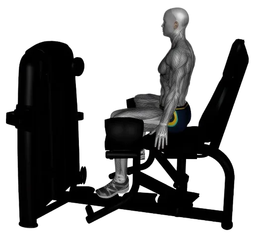 Hip Abductor exercise demonstration