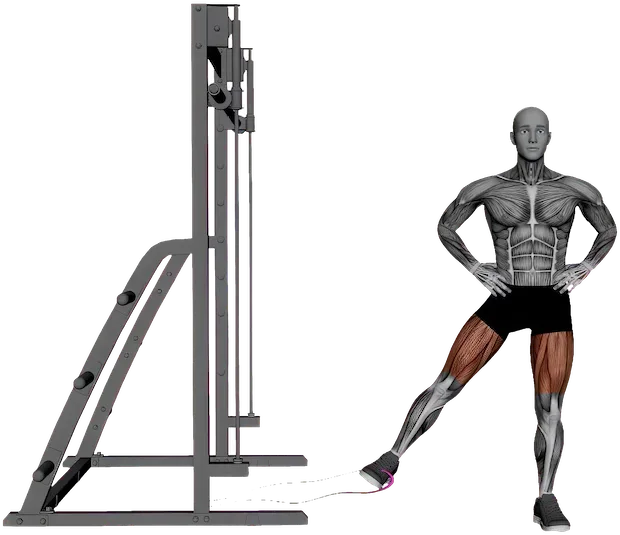 Hip Adduction exercise demonstration
