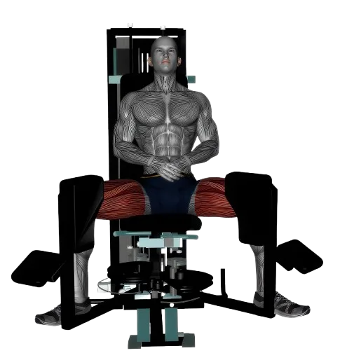 Hip Adductor exercise demonstration