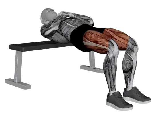 Hip Thrust exercise demonstration