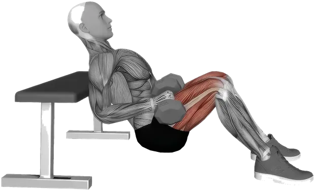 Hip Thrust exercise demonstration