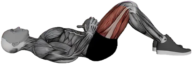 Hip Thrust exercise demonstration