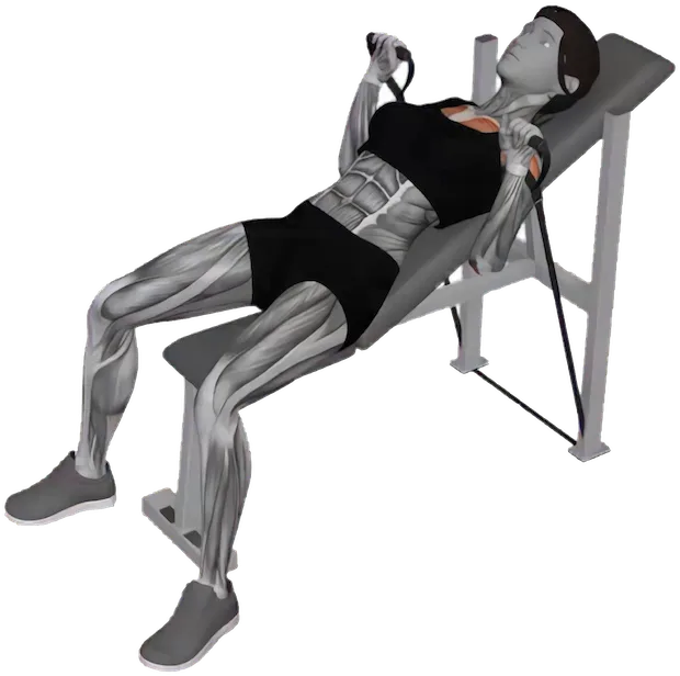 Incline Bench Press exercise demonstration