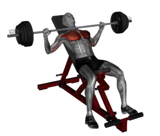 Incline Bench Press exercise demonstration