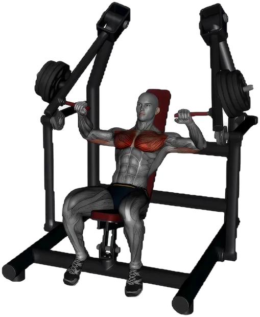 Incline Chest Press exercise demonstration