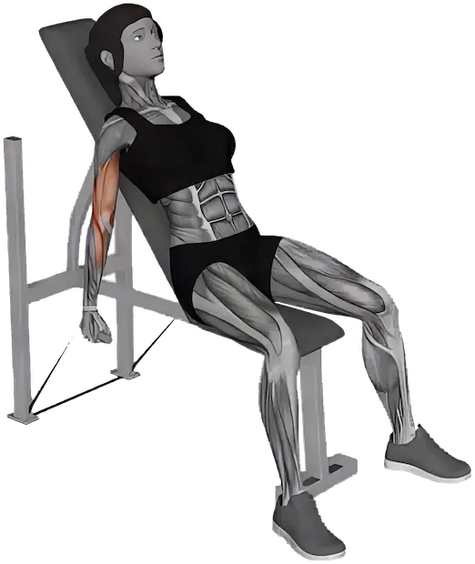 Incline Hammer Curl exercise demonstration