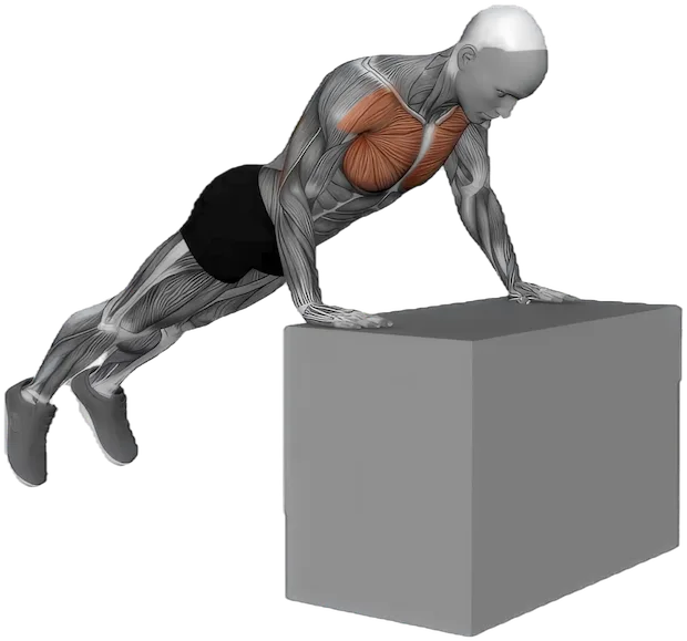 Incline Push Up exercise demonstration