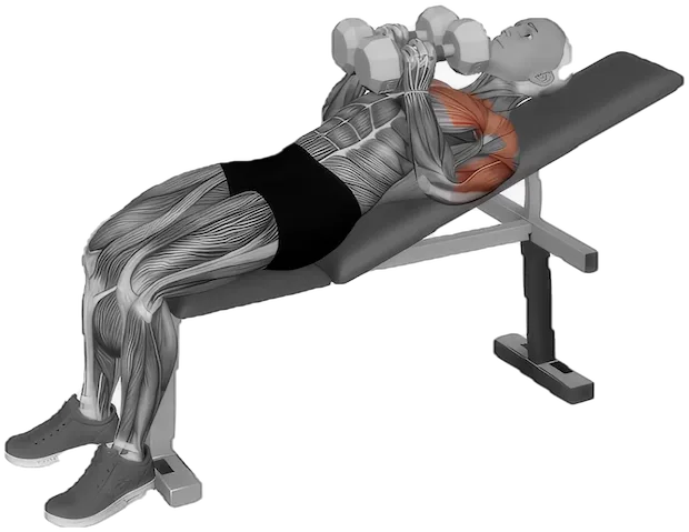 Incline Squeeze Press exercise demonstration
