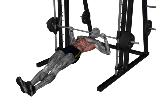 Inverted Row exercise demonstration