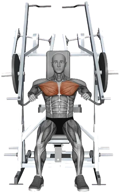 Iso-Lateral Chest Press exercise demonstration