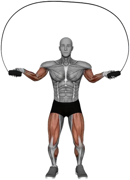 Jump Rope exercise demonstration