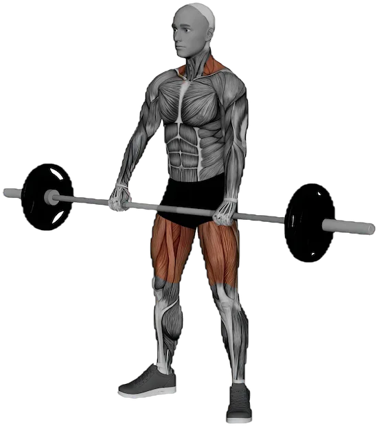 Jump Shrug exercise demonstration