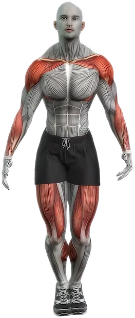 Jumping Jacks exercise demonstration