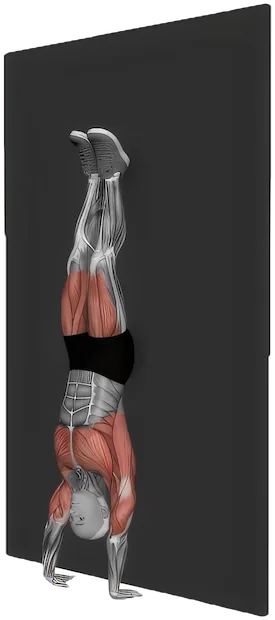 Kipping Handstand Push Up exercise demonstration