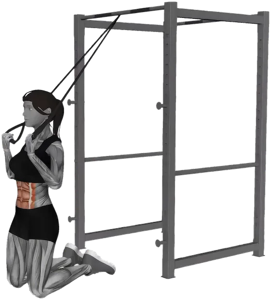 Kneeling Crunch exercise demonstration