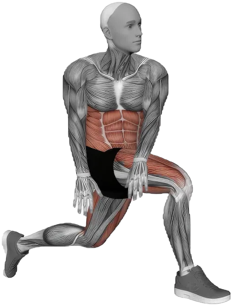 Kneeling Hip Flexor Stretch exercise demonstration