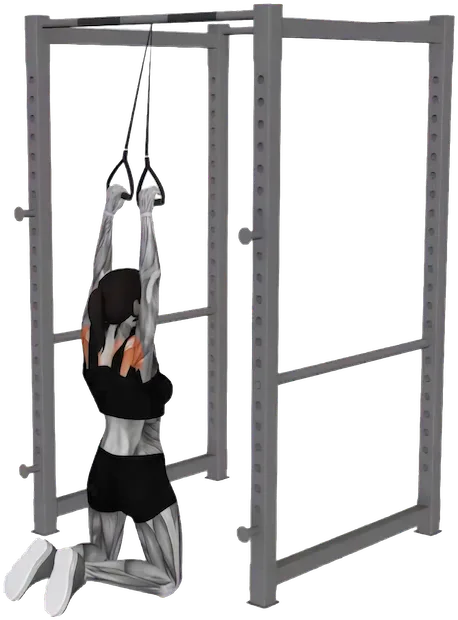Kneeling Lat Pulldown exercise demonstration