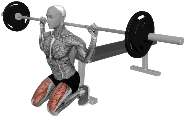 Kneeling Squat exercise demonstration