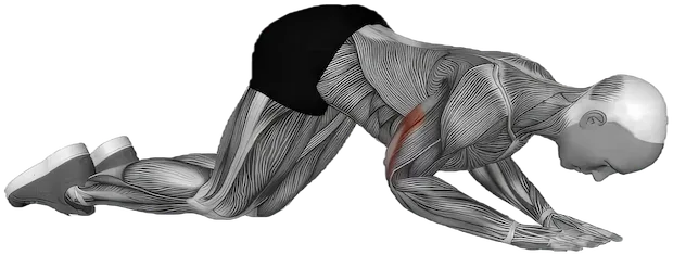 Kneeling Triceps Extension exercise demonstration