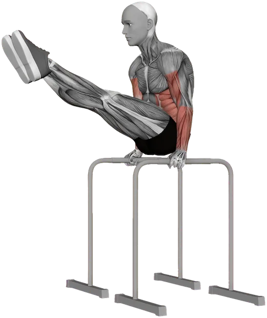 L-Sit Hold exercise demonstration