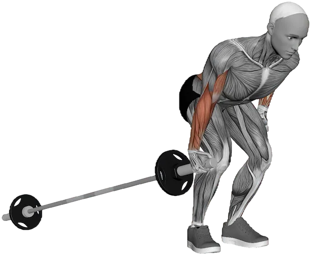 Landmine Bar Row exercise demonstration