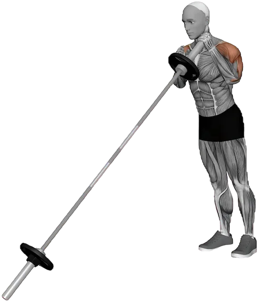 Landmine Single Arm Press exercise demonstration