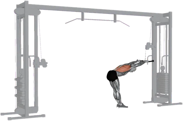 Lat Prayer exercise demonstration