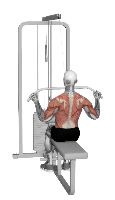 Lat Pulldown exercise demonstration