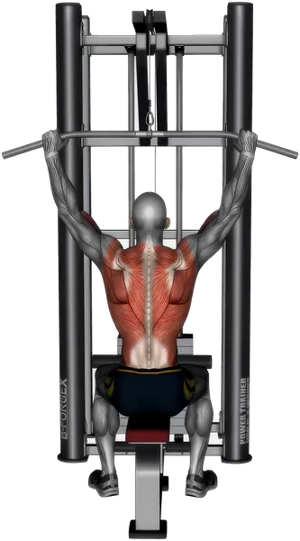 Lat Pulldown exercise demonstration
