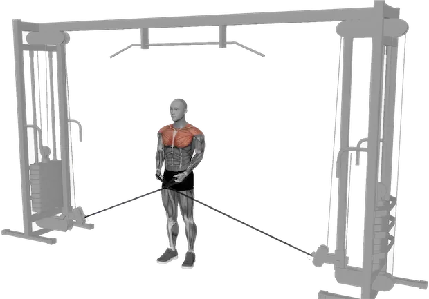 Lateral Raise exercise demonstration