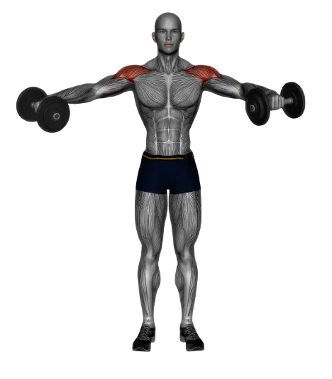 Lateral Raise exercise demonstration