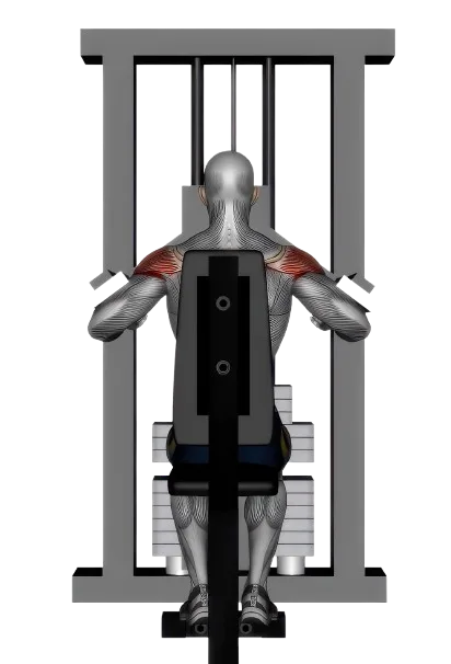 Lateral Raise exercise demonstration