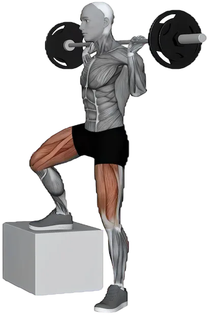 Lateral Step Up exercise demonstration