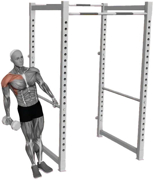 Leaning Lateral Raise exercise demonstration