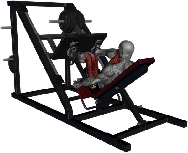 Leg Press exercise demonstration
