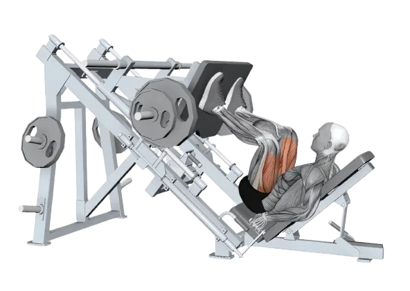 Leg Press exercise demonstration