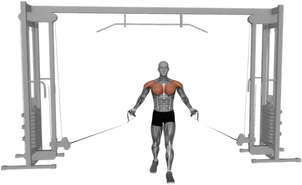 Low Cable Fly exercise demonstration